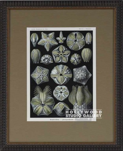 19X16 PANTEEK B/W CREATURES/ORN8