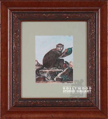 16x15 Tinted Monkey Engraving