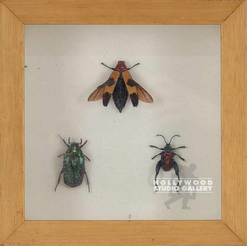 9X9 BUGS/SHADOW BO