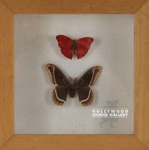 9x9x3" BUTTERFLIES/SHADOWBOX/LT WD