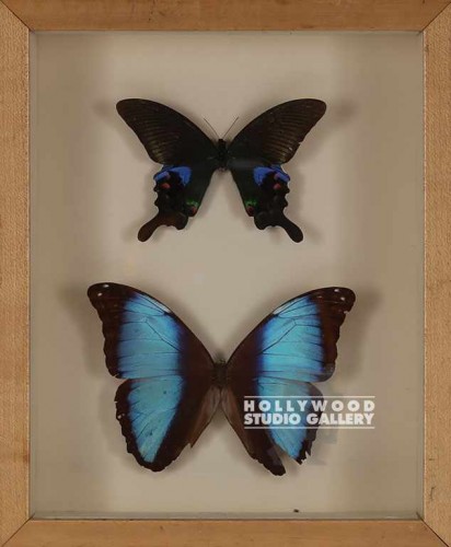 11x9 Framed Butterflies