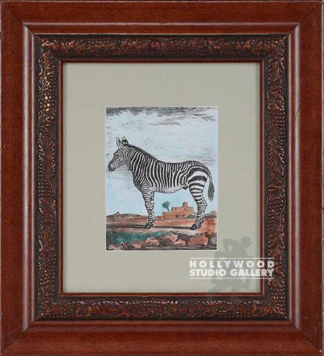 16x15 Tinted Zebra Engraving