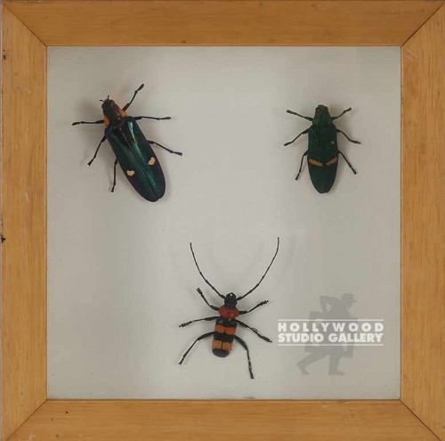 9X9 BUGS IN SHADOW BOX/BLONDE FRM