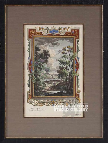 20X15 PANTEEK ANTQ. TREES-BORDER/WD
