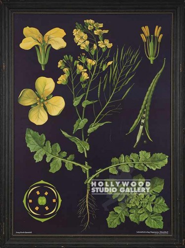 50X37 ANTQ.BOTANICAL YELLOW-BLK B.G