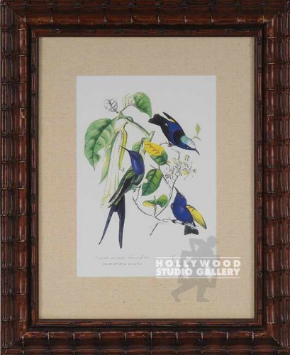 27X21 HUMMNGBRDS-BOTANICAL/3"BAMBOO