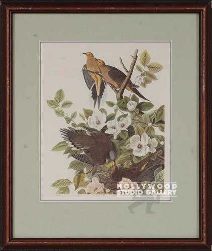 17X14 AUDUBON MORNING DOVE/WOOD