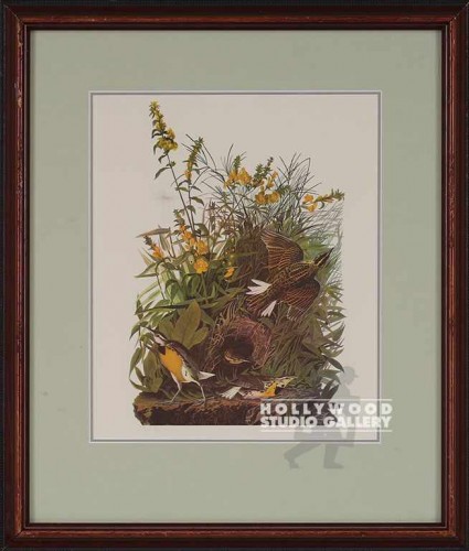 17X14 AUDUBON MEADOWLARK-BIRD/WD