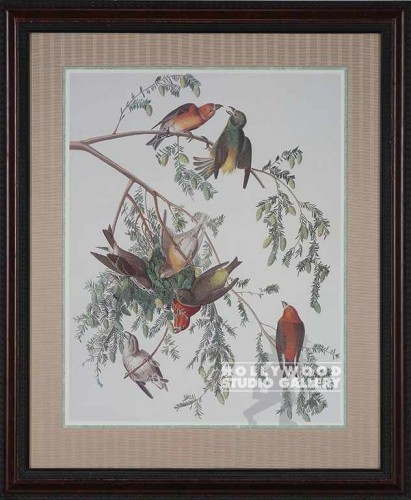 34x28 Orange Birds/Ornate