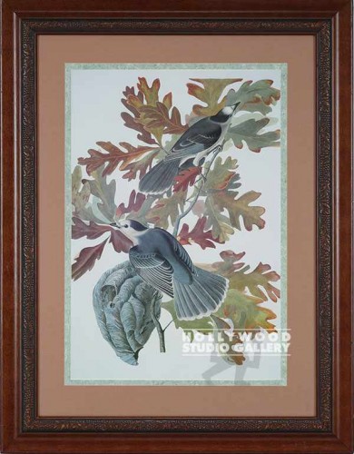 36x30 Audubon Bird/White Crwnd Pign