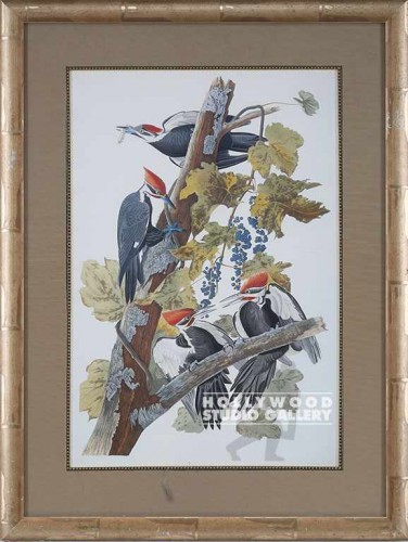 36x30 Audubon Bird/Pileated Wdpckr
