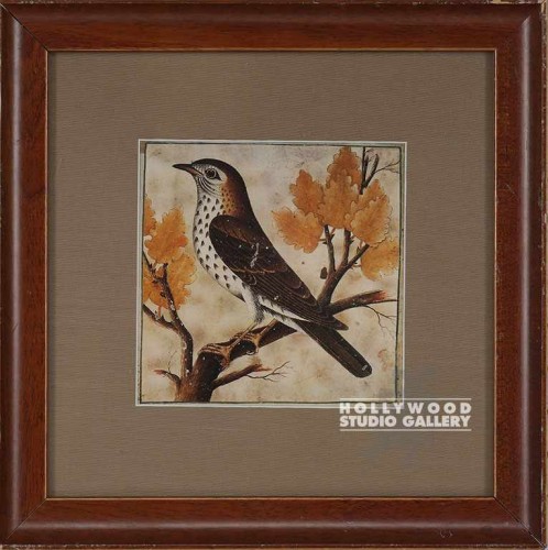 13X13 CICALA TORDO BIRD PRINT/ORNGY