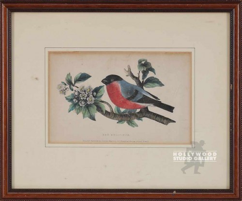 12X14 ANTQ.BIRDTANICAL-BULLFINCH/WD