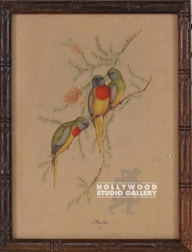 9X7 GOULD BIRDTANICAL -AGED/BAMBOO