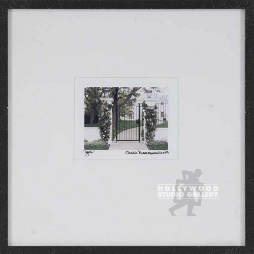 12X12 FRANKENHEIMER MINI GATE/ BLK