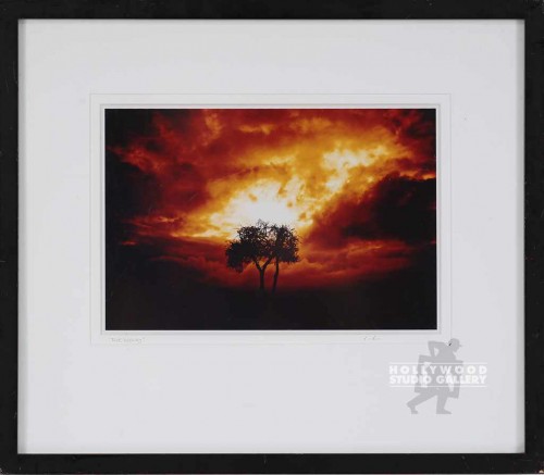 17X20 CASTILLO LONE TREE SUNSET/BLK