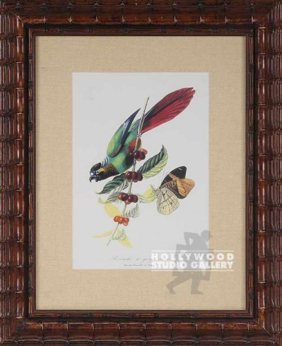 27X21 PARAKEETO-BOTANICAL/3" BAMBOO
