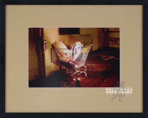 16X20 ELLIOTT LIT-UP SHOPPING CART