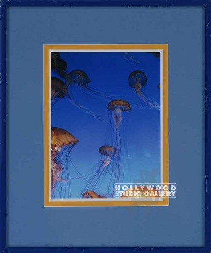 18X15 FRANKNHMR JELLY FISH FOTO/BLU