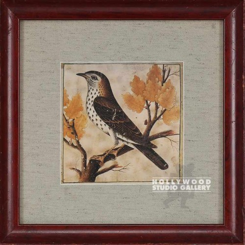 12X12 CICALA TORDO BIRD/MAHOG