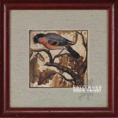 12X12 CICALA CIUFOLOTTO BIRD/MAHOG
