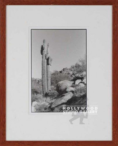 15x12 B/W Fowler/Cactus         CIA