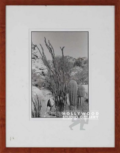 15x12 B/W Fowler/Cactus         CIA