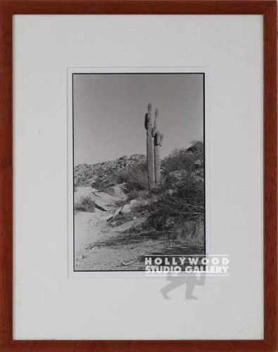 15x12 B/W Fowler/Cactus         CIA