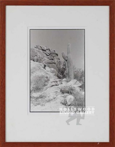 15x12 B/W Fowler/Cactus        CIA