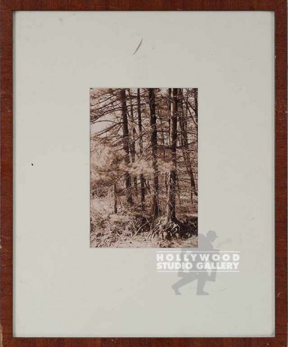 15x12 Fowler Sepia Trees/Bg Mat