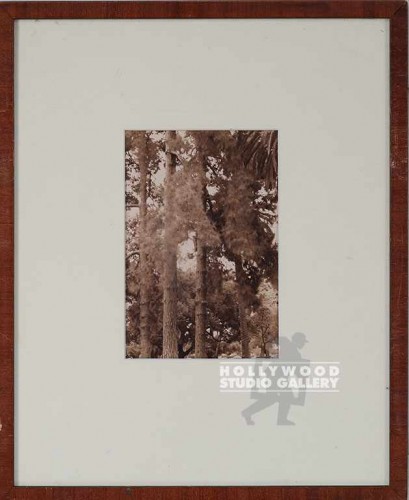 15x12 Fowler Sepia Trees/Bg Mat