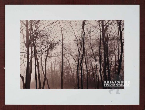 24x31 Fowler Sepia Trees/Biedermier
