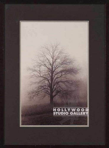28x21 Fowler Sepia Trees/Biedermier