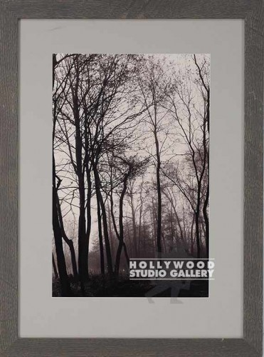 25x18 Fowler Sepia Trees/Black