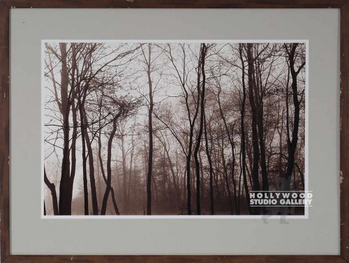 23X31 FOWLER SEPIA PA TREES/WALNUT
