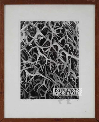 23X19 CHINELLI B/W ANTLERS 2/BRN WD