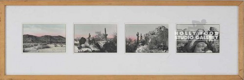 10x29 Fowler Hand Clored Desrt/ CIA