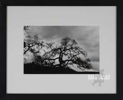 18X22 LIPSCOMB B/W SCARY TREE/BLK