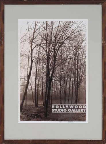 27X20 FOWLER SEPIA PA TREES/WALNUT