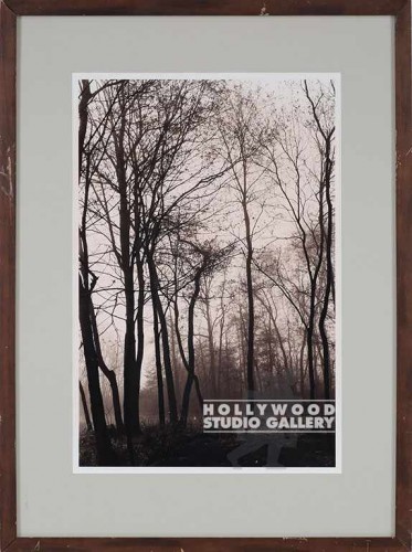 27X20 FOWLER SEPIA PA TREES/WALNUT