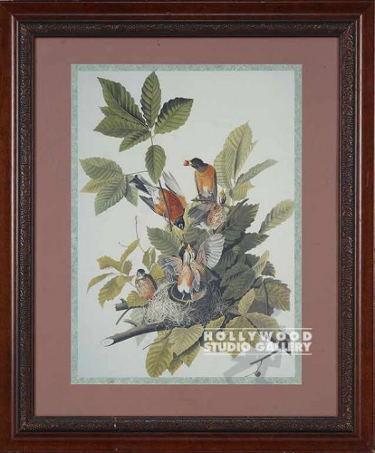 36x30 Audubon Bird/American Robin