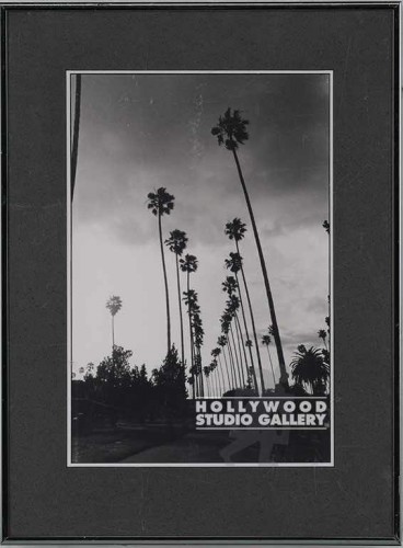 19x14 B/W Fowler/Palms/Photo    CIA