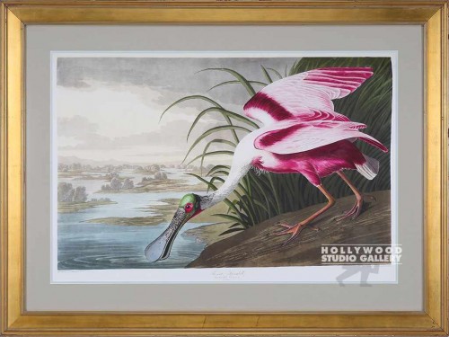39X53 AUDOBON PINK SPOONBILL/GOLD
