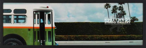 12X37 RF GREEN BUS-PALM TREES/ BLK