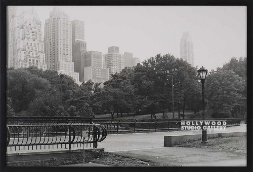 20X29 B/W FOWLER/NY CNTRL PARK/ CIA