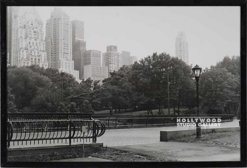 21x30 B/W Fowler/N.Y.Photograph