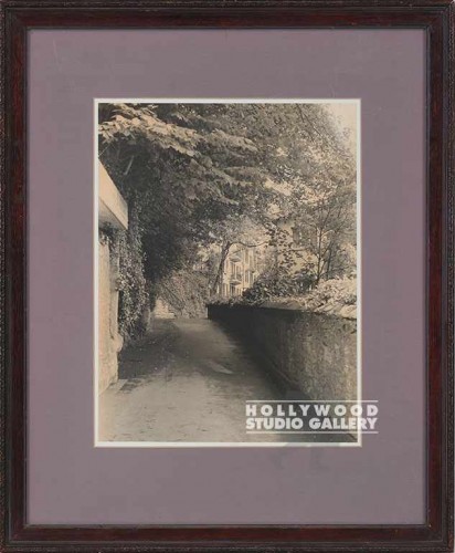 20x16 Fowler/Sepia-Wall & Trees CIA