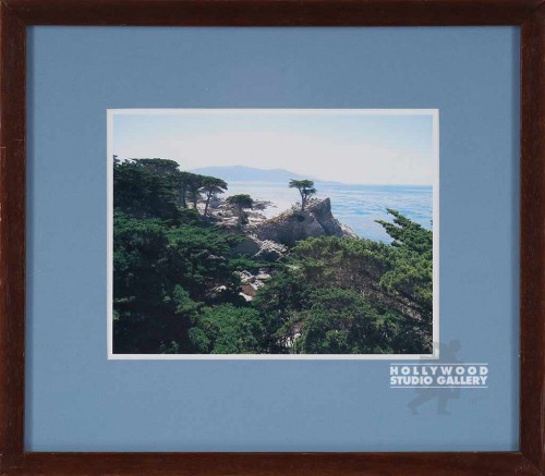 15X17 FRANKNHMR CA COAST FOTO/BRN