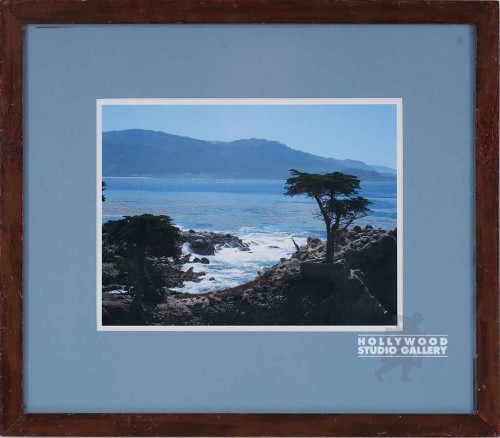15X17 FRANKNHMR CA COAST FOTO/BRN