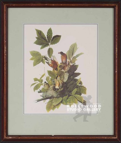 17X14 AUDUBON ROBIN-BIRDTANICAL/WD